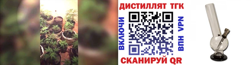 Купить где  Муравленко  Дистиллят ТГК вейп 